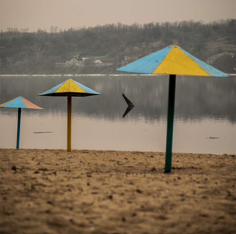 Фотографія Бутерброд с грибами / Storcheus Stas / photographers.ua