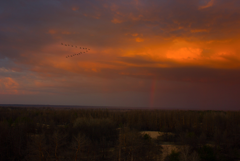 Фотографія Разное / Николай Титов / photographers.ua
