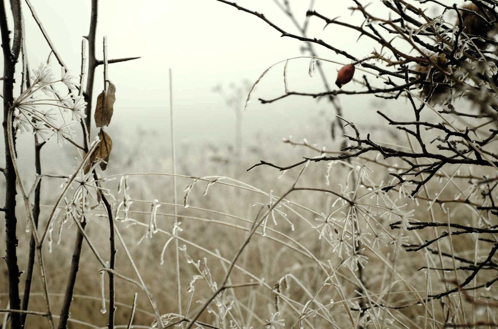 Фотографія * / Юлия / photographers.ua