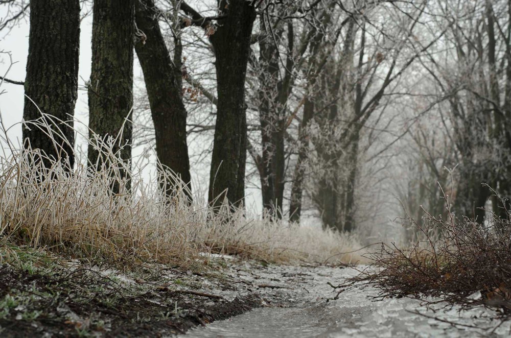 Фотографія Пейзаж / Юлия / photographers.ua