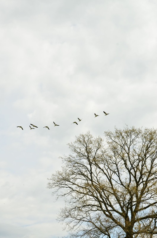 Фотографія Разное / Юлия / photographers.ua