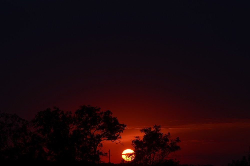 Фотографія Разное / Юлия / photographers.ua