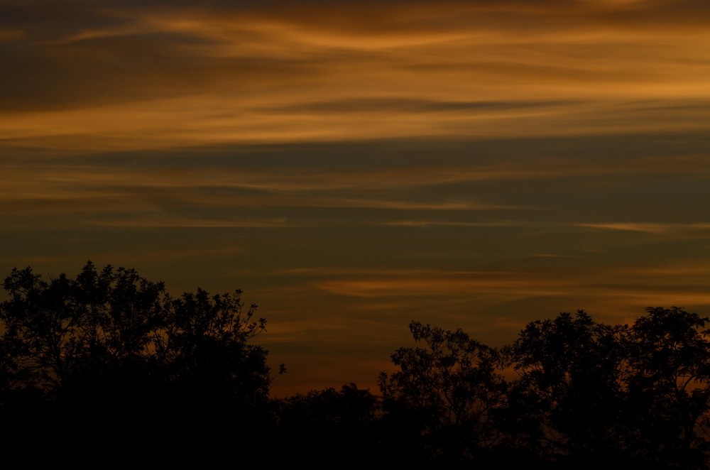 Фотографія Разное / Юлия / photographers.ua