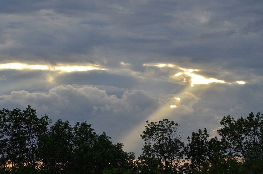 Фотографія Разное / Юлия / photographers.ua