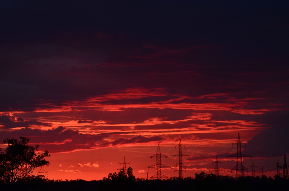 Фотографія Разное / Юлия / photographers.ua