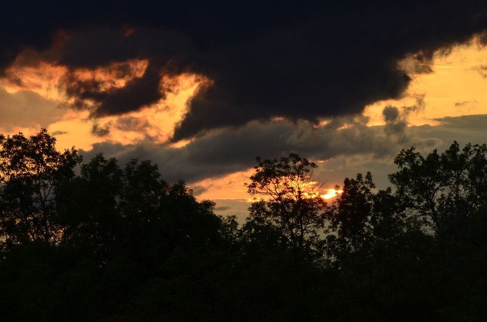 Фотографія Разное / Юлия / photographers.ua