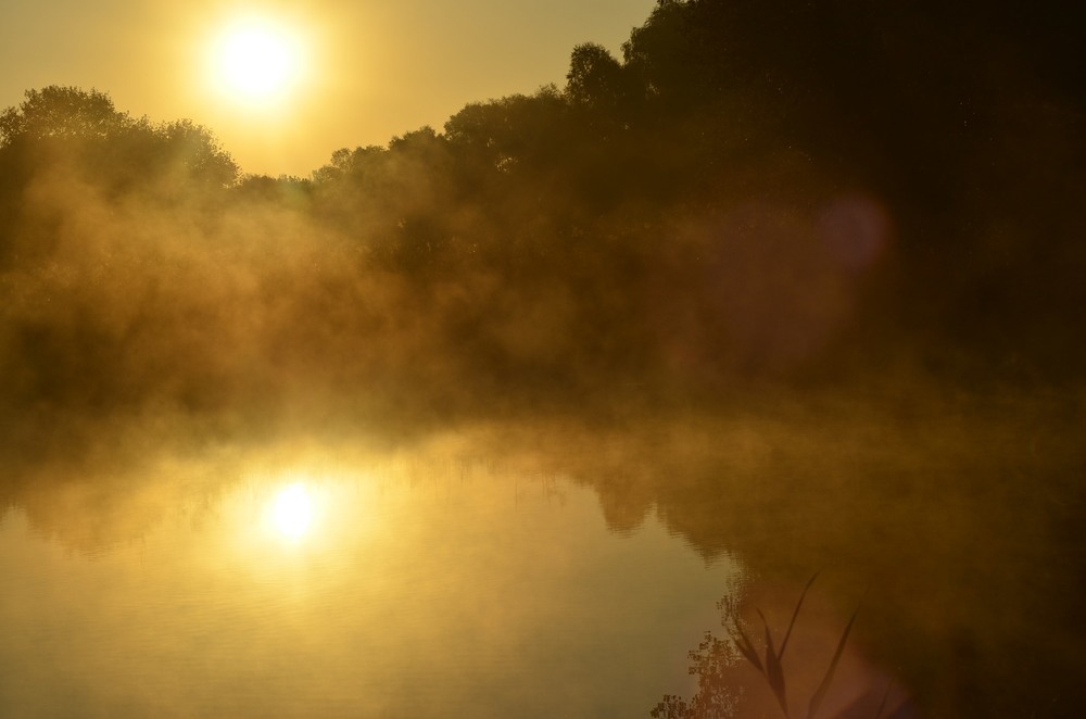 Фотографія Разное / Юлия / photographers.ua