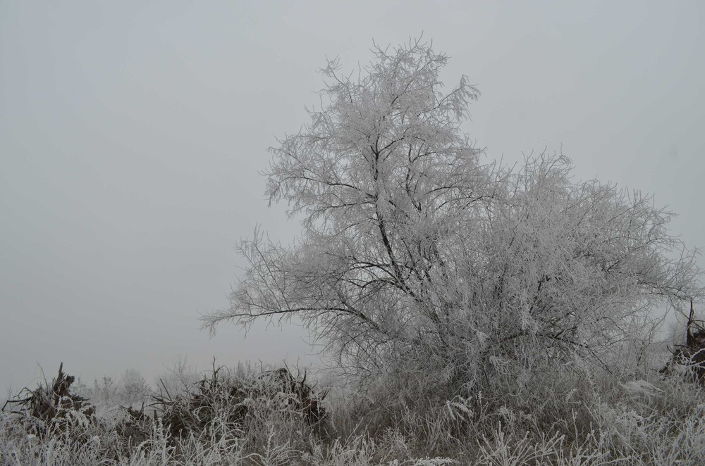 Фотографія * / Юлия / photographers.ua
