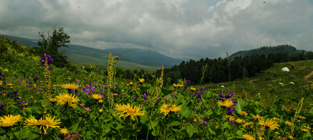 Фотографія Пейзаж / Юлия / photographers.ua