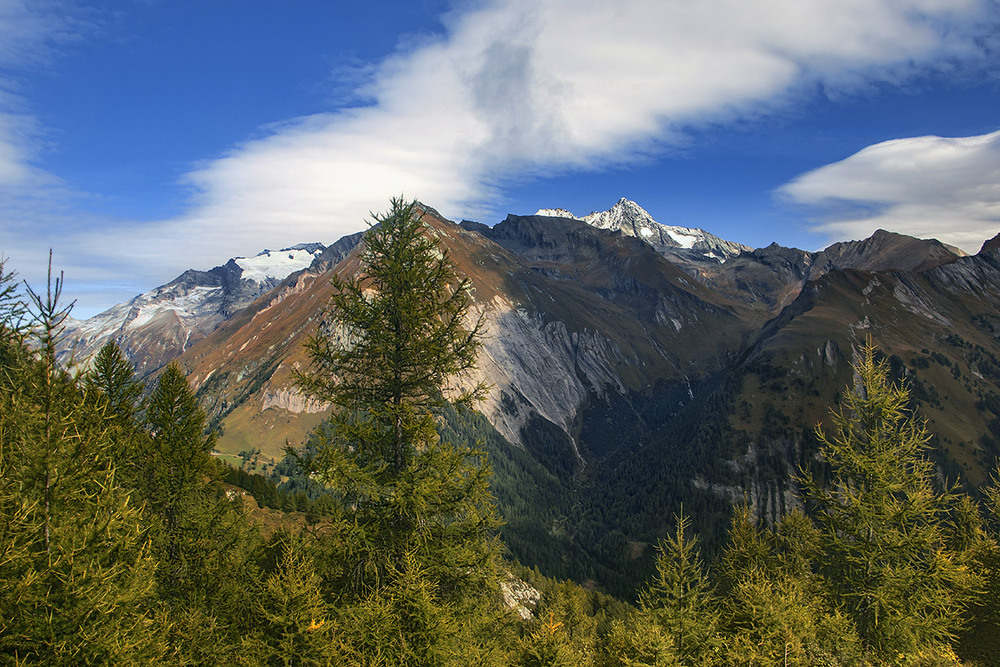 Фотографія - А добре ж буває, коли сонечко виглядає!? - Еге ж! / Юрій Максименко / photographers.ua