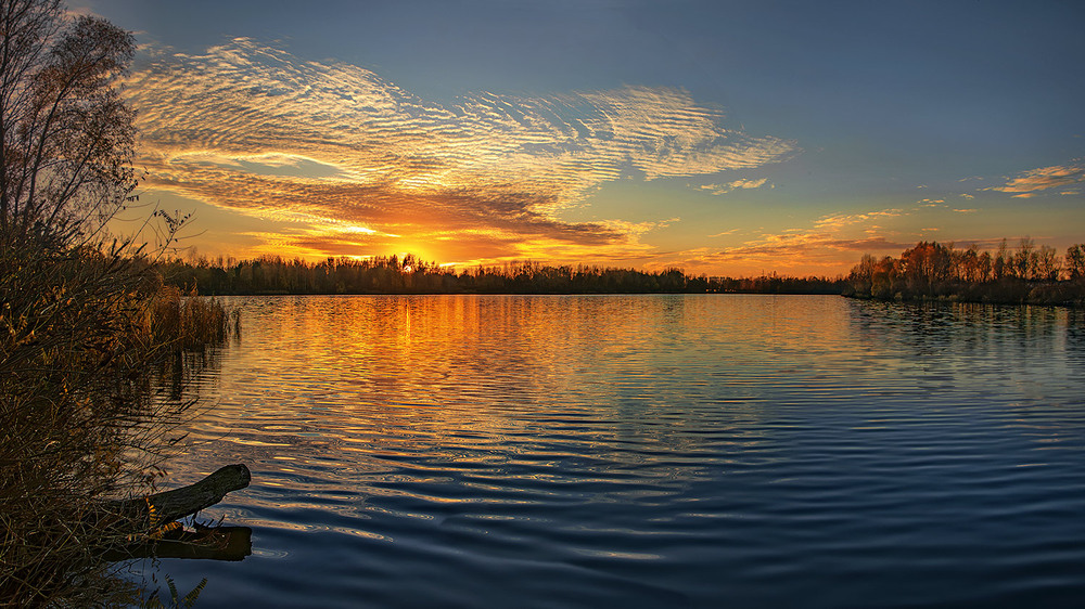 Фотографія В небі канареєчка літає і співає прямо в горизонт... / Юрій Максименко / photographers.ua