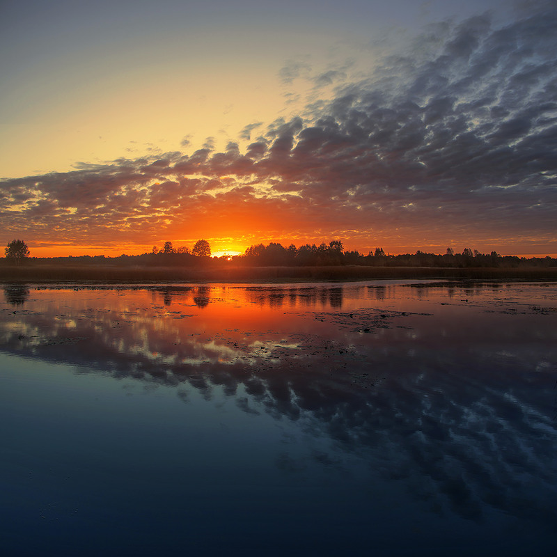 Фотографія Якби мені не тиночки тай не перелази - ходив би я до дівчини по чотири рази. / Юрій Максименко / photographers.ua
