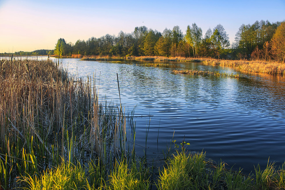 Фотографія Весна іде - траву, набубнявілі бруньки, молодесеньке листячко несе, і тій красі - радіє все. / Юрій Максименко / photographers.ua