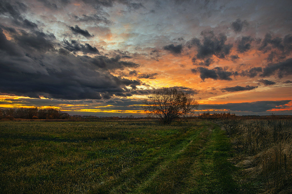 Фотографія Дорога до світла лежить і біжить. / Юрій Максименко / photographers.ua