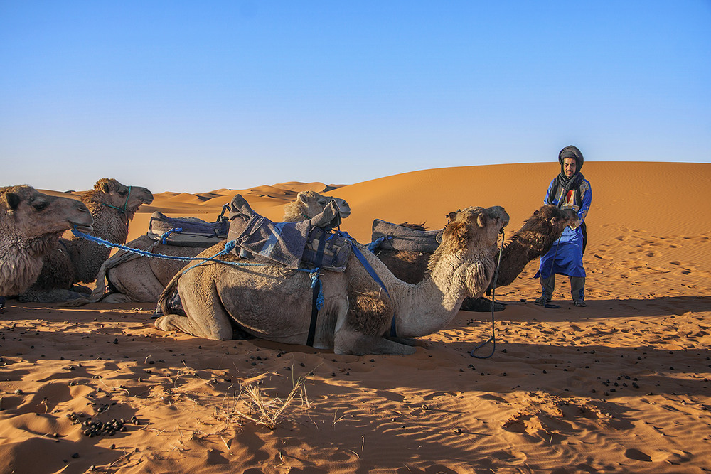 Фотографія Хлопці, находилися - відпочивайте, пізно вже, заре сонце сяде. / Юрій Максименко / photographers.ua