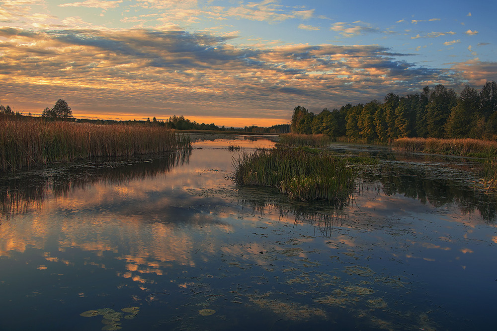 Фотографія Вітер віє-повіває у жовтні проти ночі, серце з жалю завмирає, бо все – минає. І це – мине. / Юрій Максименко / photographers.ua