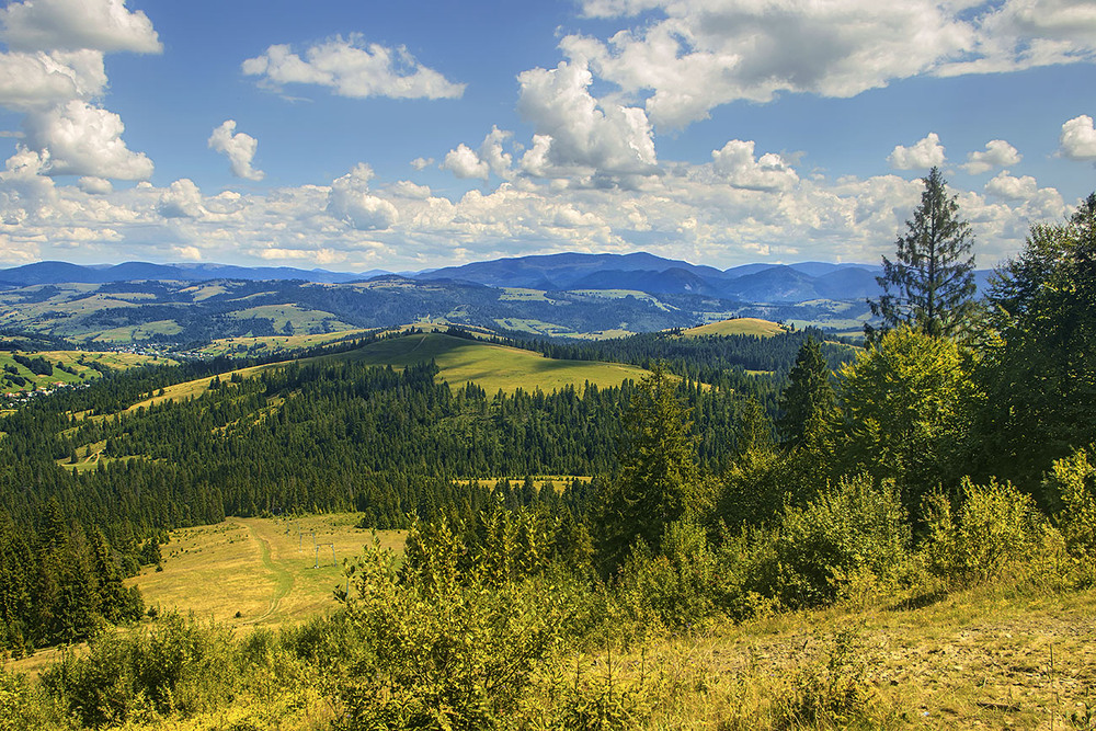 Фотографія ПосерЕду хати викопана ямА. / Юрій Максименко / photographers.ua