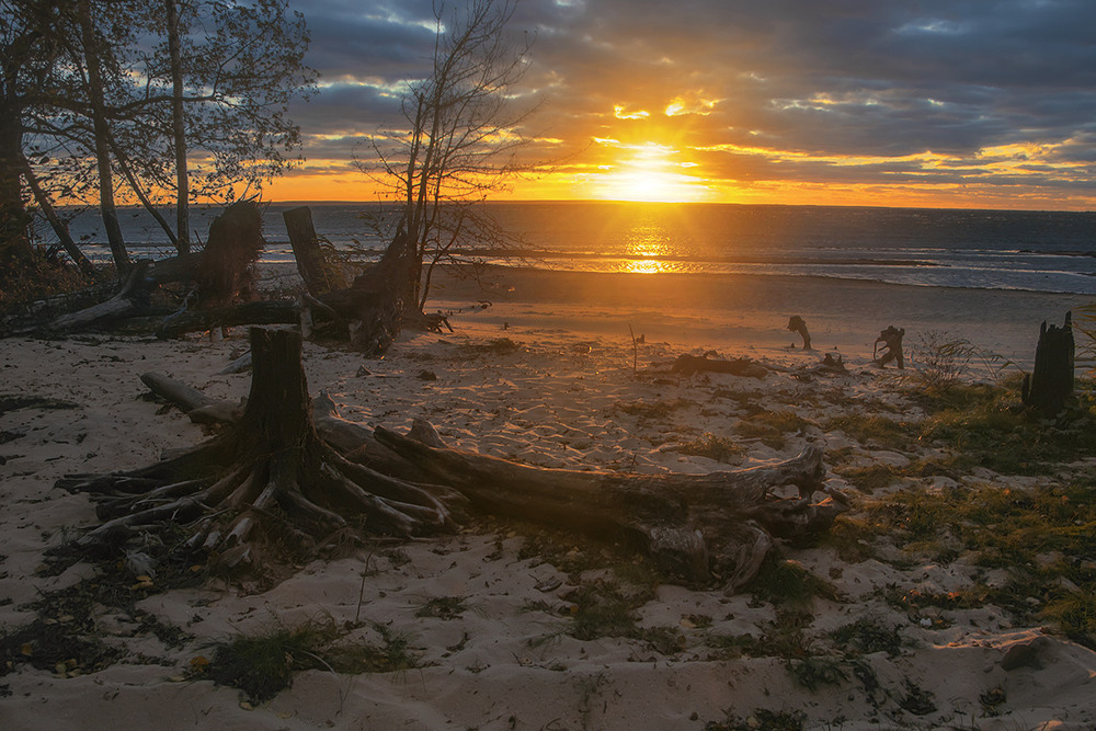 Фотографія У кожного своя доля і свій шлях широкий. Осіннє сонце проти ночі сліпить очі. / Юрій Максименко / photographers.ua