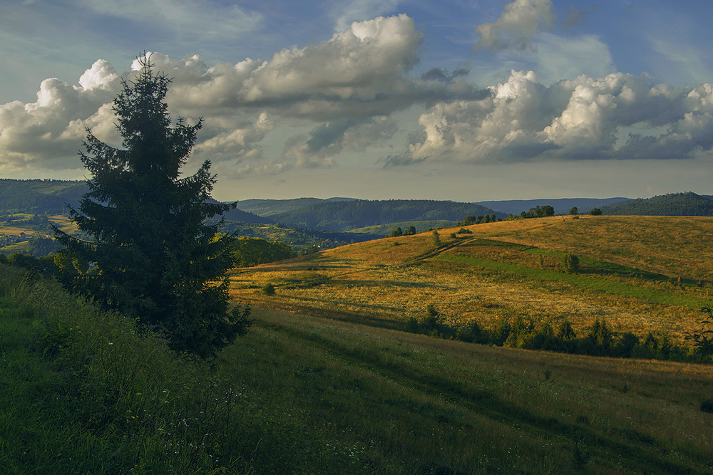 Фотографія Понад горами, полями, попід хмарами лине пісня ця коли сонце сідає, а тіні - до-о-о-о-вгі-предовгі. / Юрій Максименко / photographers.ua