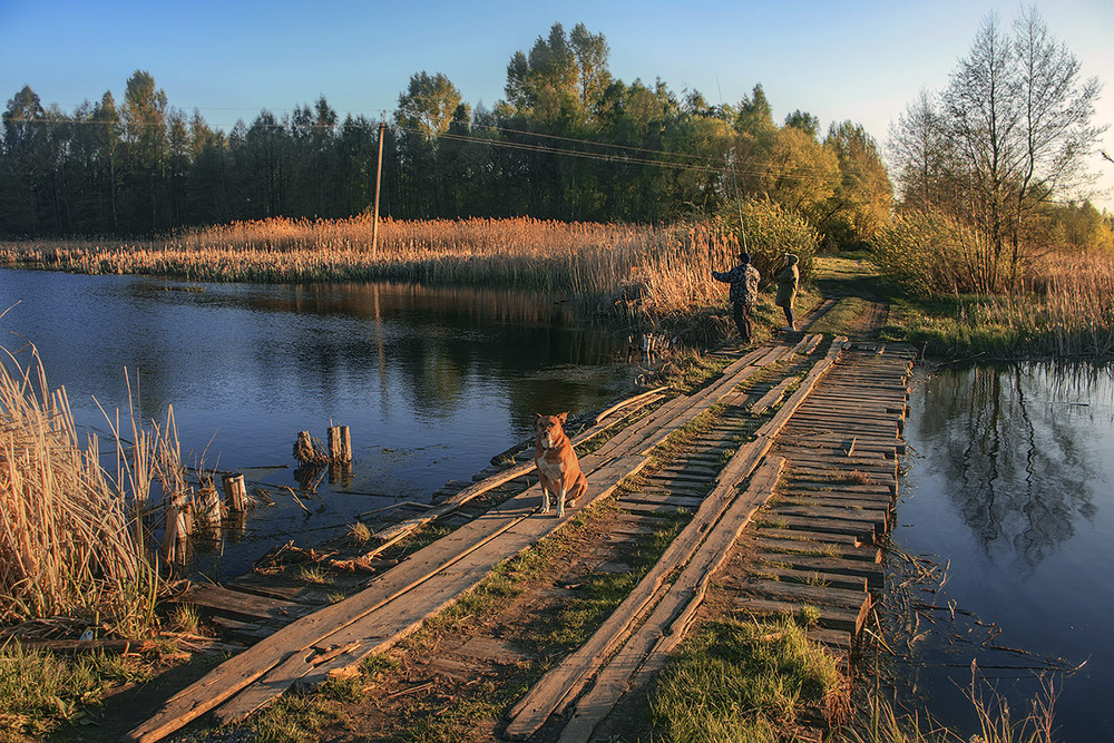 Фотографія Через міст з кладкою дорога веде у незвіданий (а може, втрачений?) край. / Юрій Максименко / photographers.ua