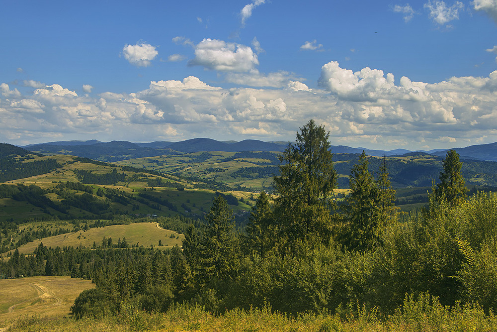 Фотографія Понад карпаттям лине хмарнота ця. / Юрій Максименко / photographers.ua