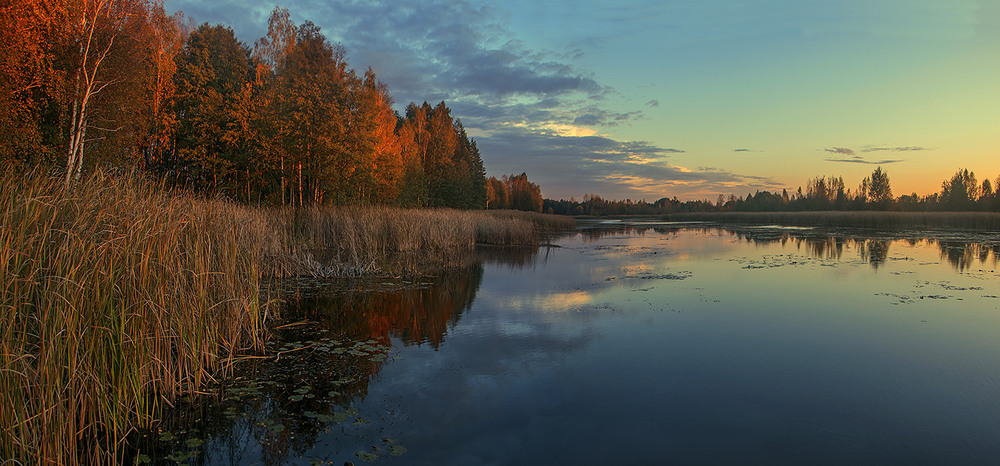 Фотографія Рак ранесенько проснувся, в черевики гарні взувся; ходить- ходить-походає - туди-суди поглядає! / Юрій Максименко / photographers.ua