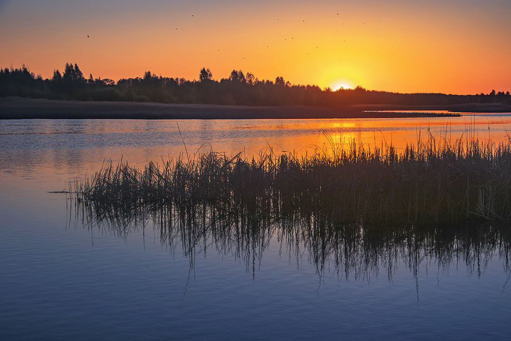 Фотографія - Ти диви які кострубаті острівці свідомості трапляються в цьому океані бажань! - Тю, та це ж став. / Юрій Максименко / photographers.ua