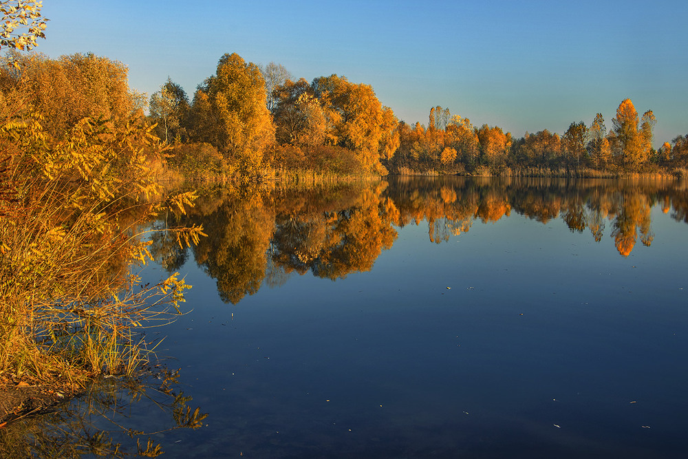 Фотографія Воно світить, світить, та не гріє - все холодом віє проти ночі. / Юрій Максименко / photographers.ua