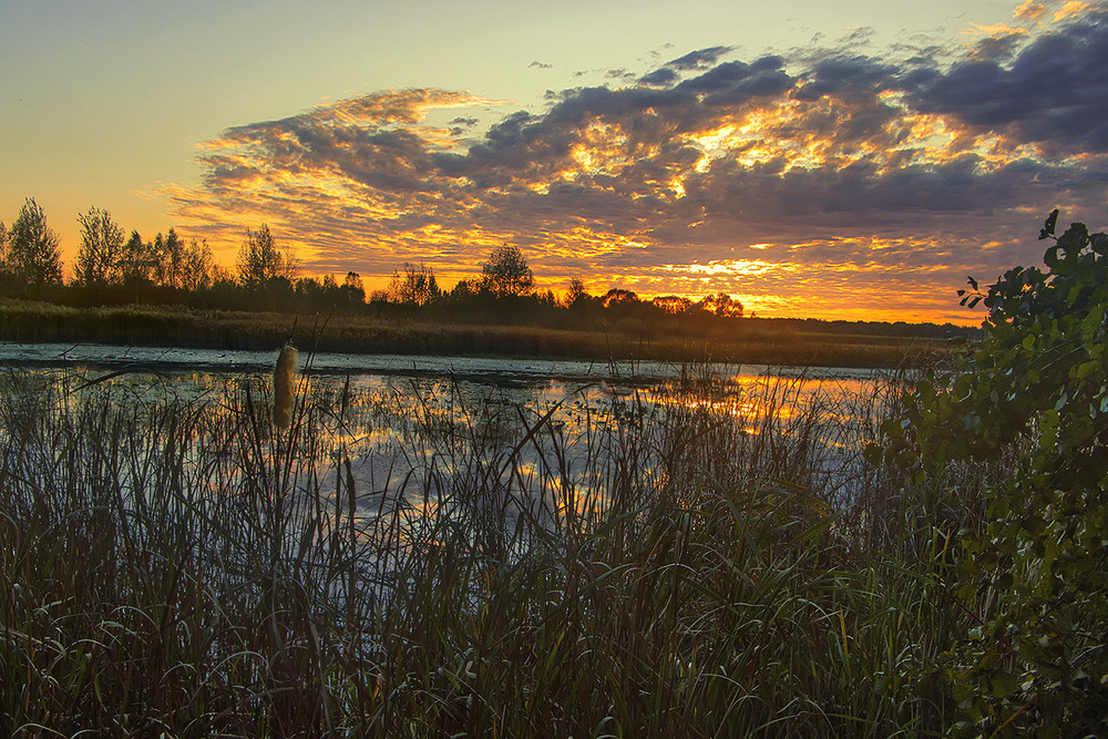 Фотографія - Хмари впали у воду й заплуталися в очереті. - Бувааає. / Юрій Максименко / photographers.ua