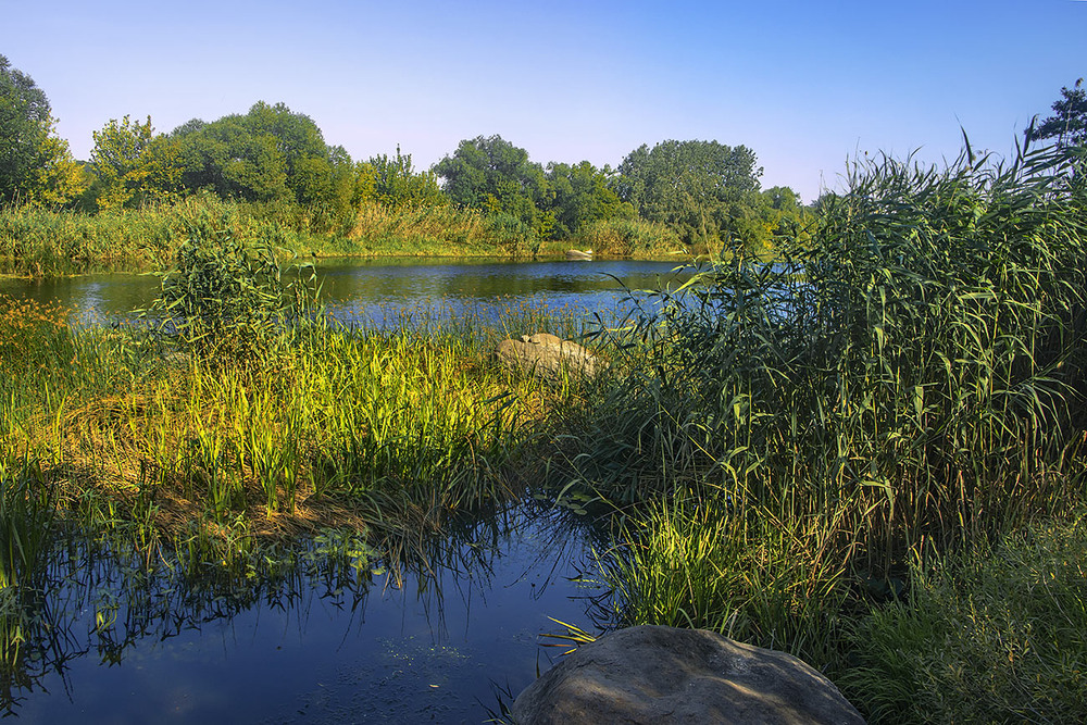 Фотографія Береги річки вкриті очеретом, каменями, тінями і чагарниками. / Юрій Максименко / photographers.ua