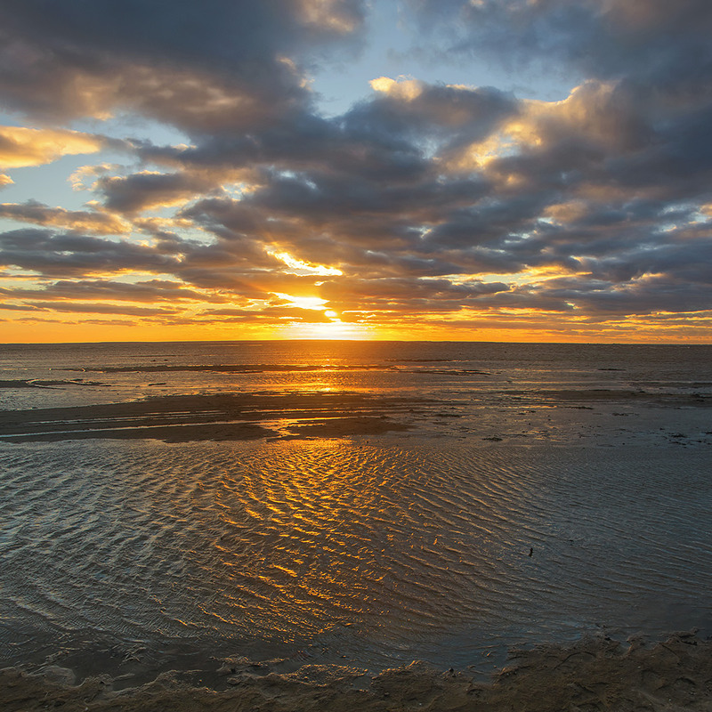 Фотографія На східному узбережжі великого київського моря зміни настають повільно, але невідворотньо. / Юрій Максименко / photographers.ua