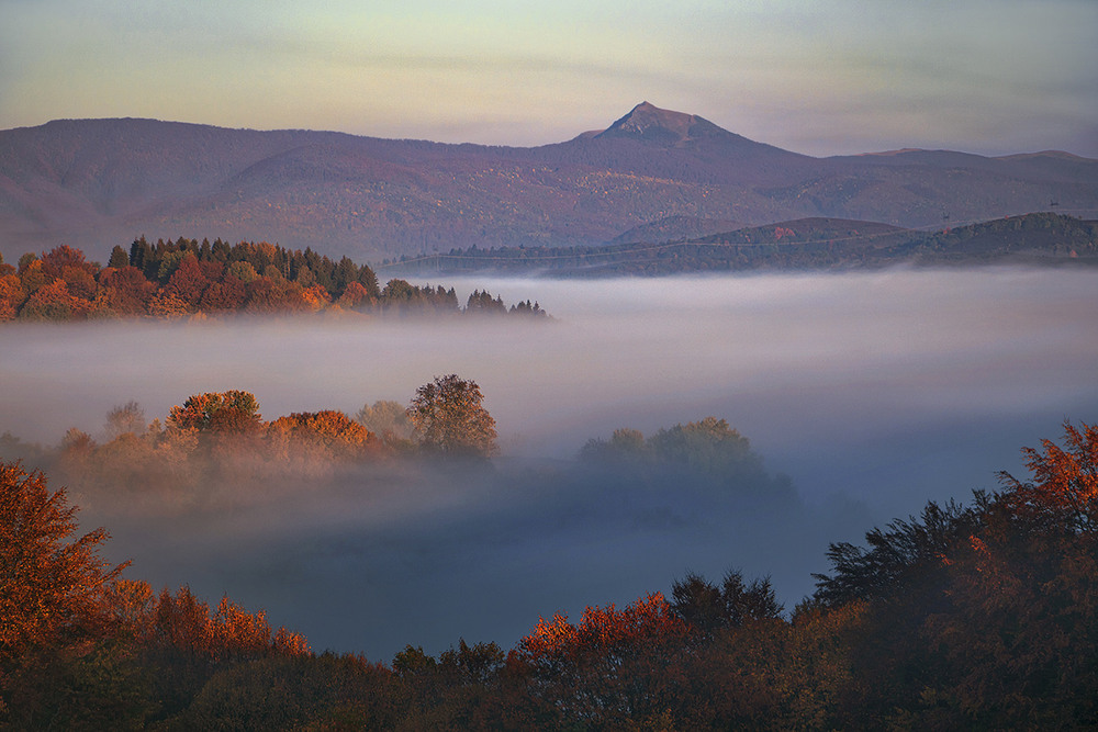 Фотографія Мила моя, люба моя, квіте ясен цвіт, я несу в очах до тебе весь блакитний світ. / Юрій Максименко / photographers.ua
