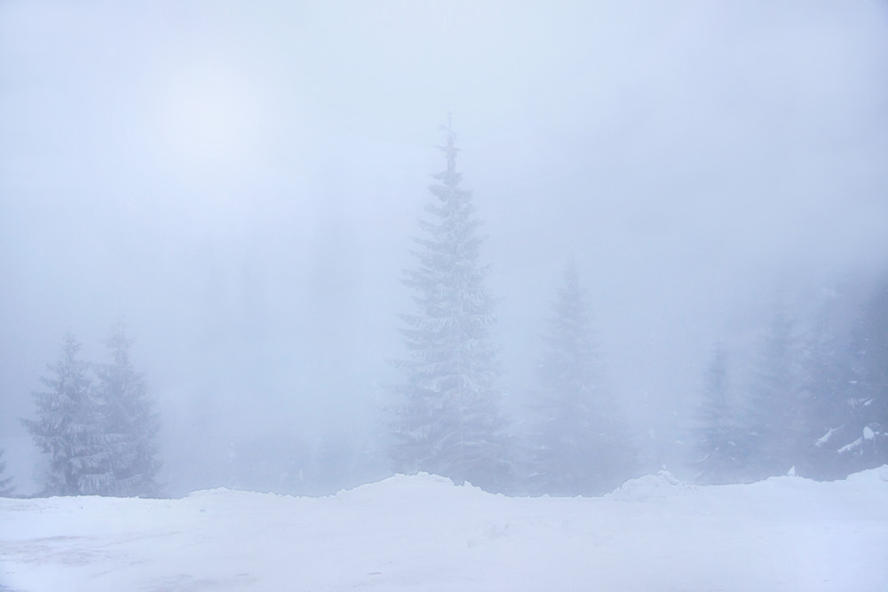 Фотографія З туману й не такі привиди з'являються буває. / Юрій Максименко / photographers.ua