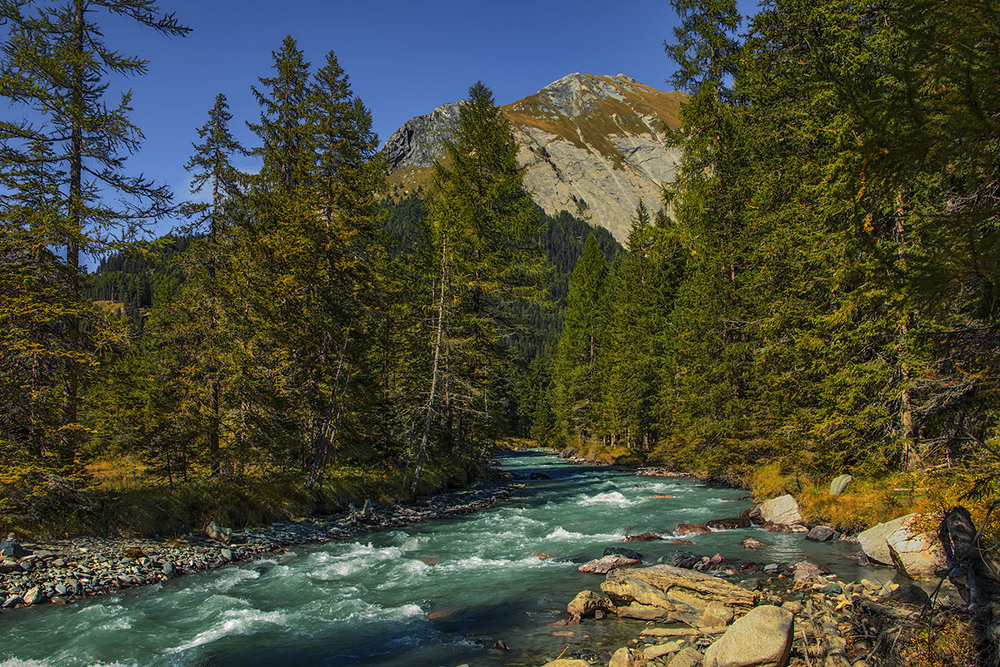 Фотографія Вечір опускається на гори й дОли, на річки і ліси, на людей і звірів. / Юрій Максименко / photographers.ua