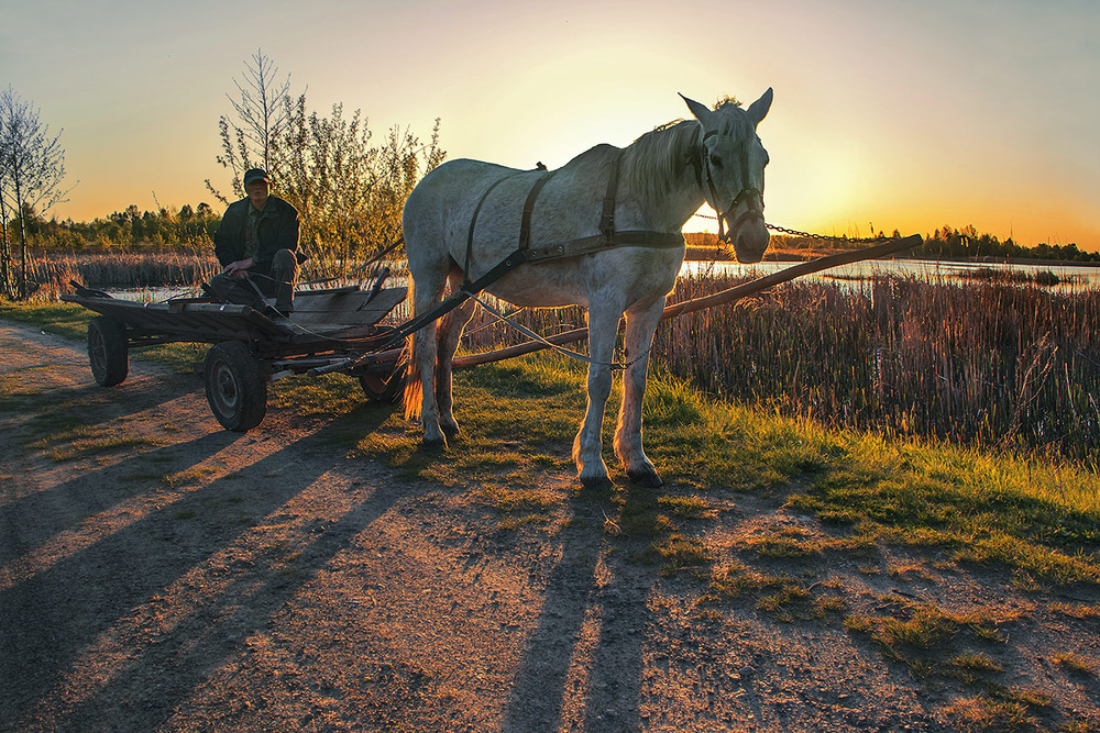 Фотографія "Під копитом камінь тріснув" - сяючий необоримий шлях лежить в місяці квітні. / Юрій Максименко / photographers.ua