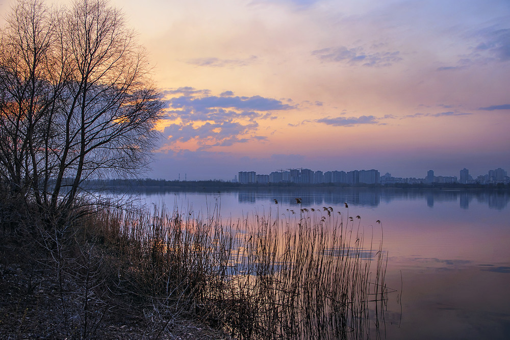 Фотографія Весна іде, ніч опускається, а дерева й очерет - навіть не ворухнуться. / Юрій Максименко / photographers.ua