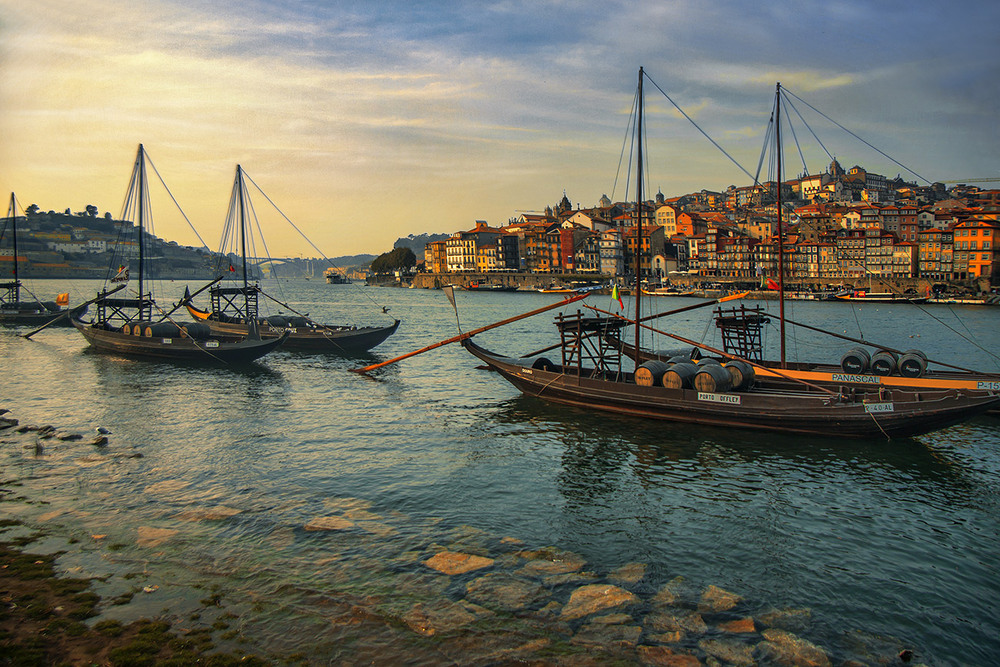 Фотографія Край берега у затишку прив'язані човни. / Юрій Максименко / photographers.ua