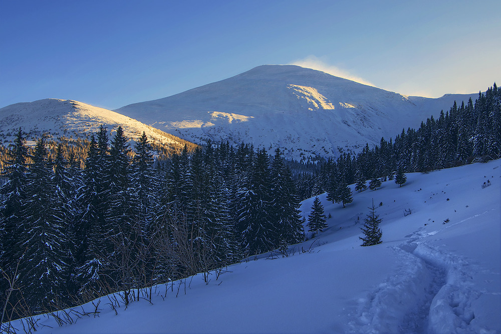 Фотографія Вечірня зіронька встає. Стежка до чаю біжить. / Юрій Максименко / photographers.ua