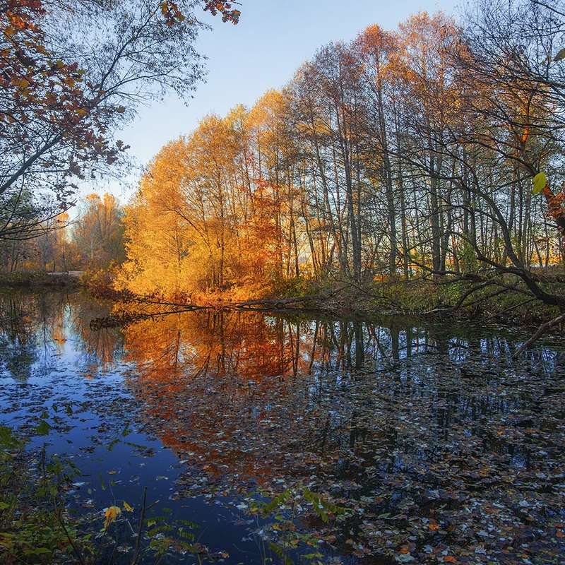 Фотографія СьОроку осінь видалась особливо яскравою. / Юрій Максименко / photographers.ua