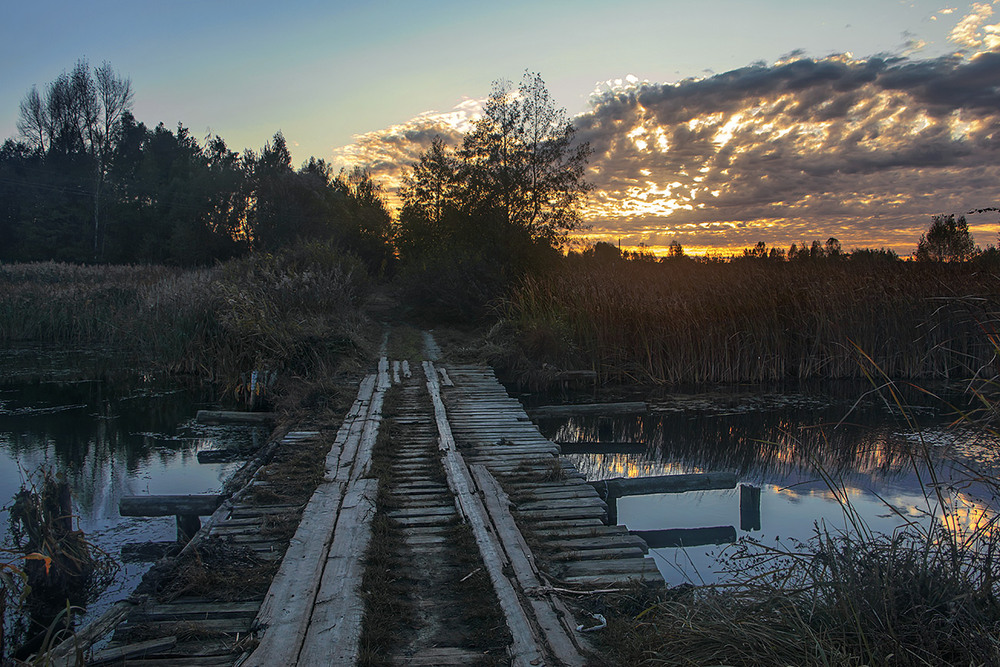 Фотографія Свіжі дошки добрі люде постелили - і це дарує надію. / Юрій Максименко / photographers.ua