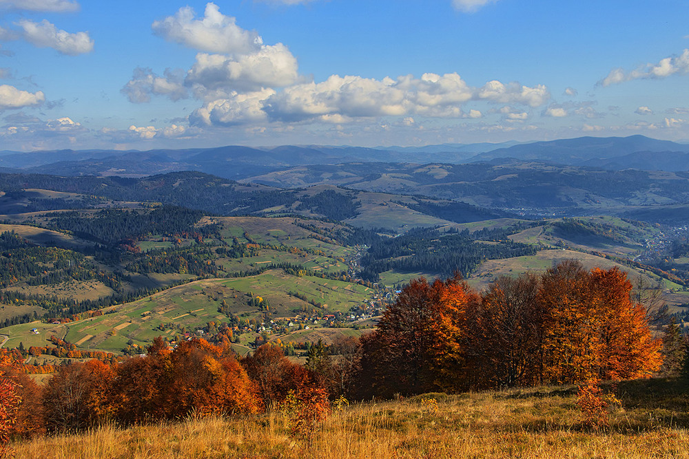 Фотографія Три кОльори мої, три кольорИ - "...і вишите моє життя на ньому..." / Юрій Максименко / photographers.ua
