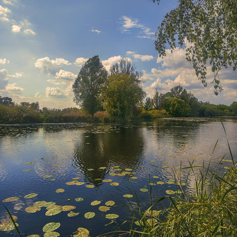 Фотографія Дрімає зачарований край надвечір. / Юрій Максименко / photographers.ua