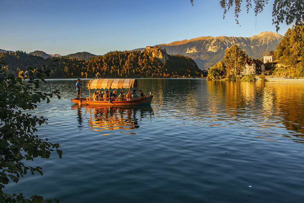 Фотографія Ой у гаю, при Дунаю соловей щебече. / Юрій Максименко / photographers.ua