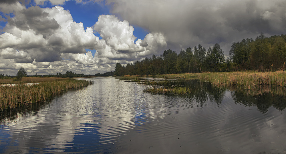 Фотографія А тепер, пані та панове, увага - дощ! / Юрій Максименко / photographers.ua