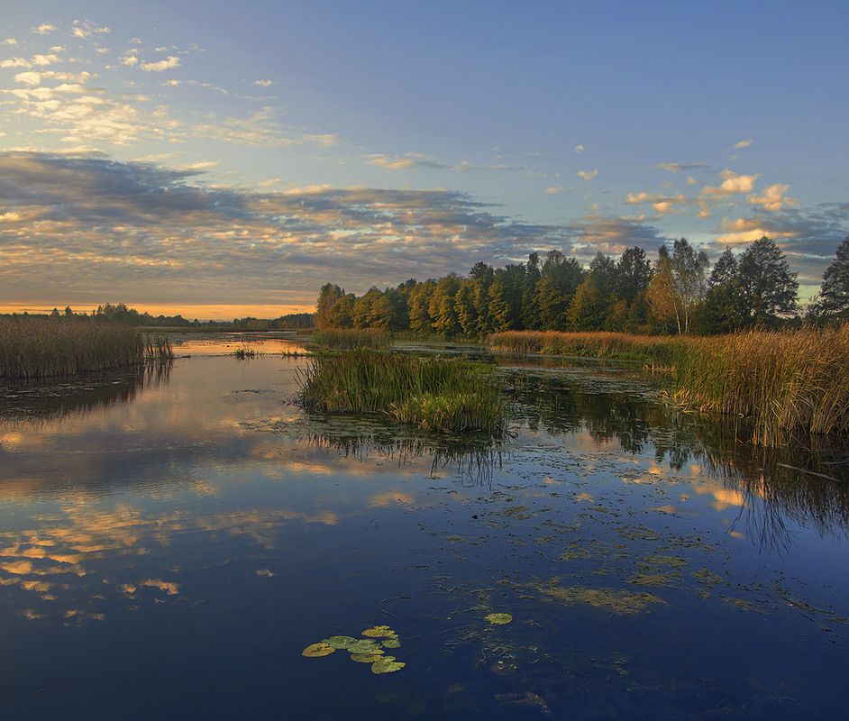 Фотографія Від Сяну до Дону дорога лежить десь тут: о-о-о-о-н за тими-о кущами й очеретом. / Юрій Максименко / photographers.ua