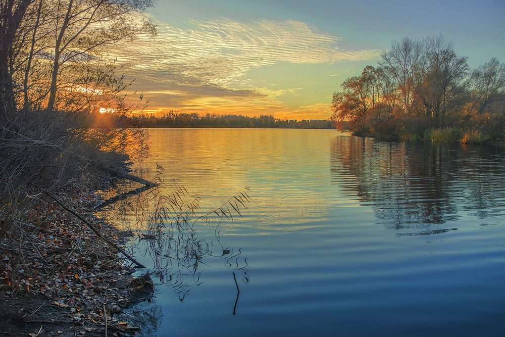 Фотографія Спокійний теплий жовтневий вечір на рибному місці озера Небреж в Києві. / Юрій Максименко / photographers.ua