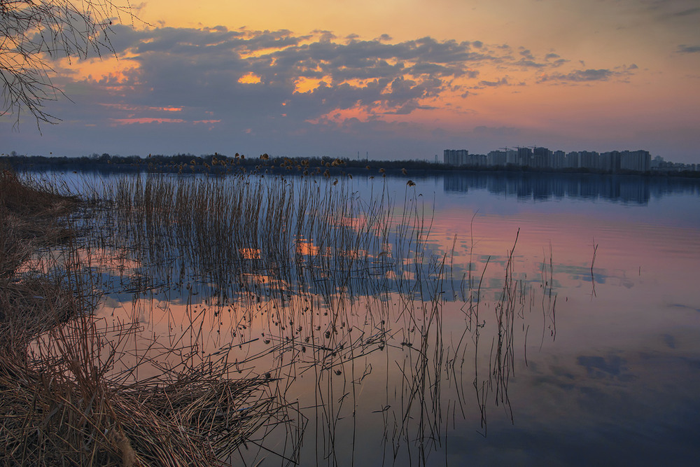 Фотографія Рання весна, березень, проти ночі на березі озера Тягле в Києві. / Юрій Максименко / photographers.ua