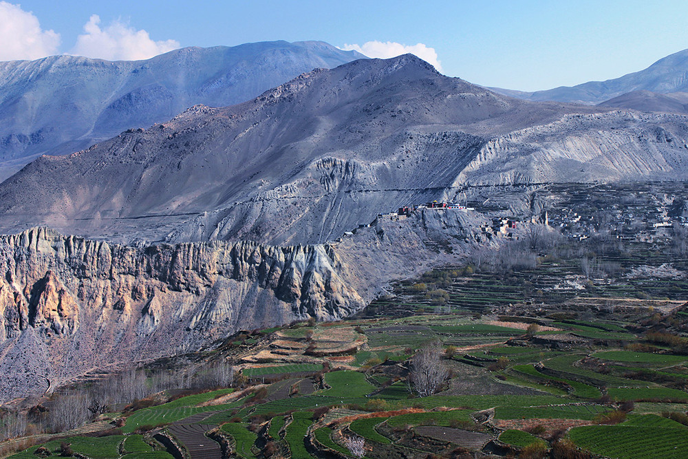Фотографія У полях край села Мутхінатх весною зазеленіло на терасах. / Юрій Максименко / photographers.ua