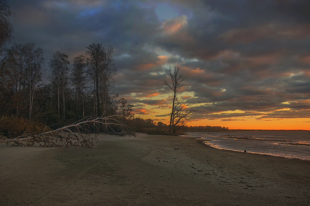 Фотографія Дерева вже стоять голі й босі, а дехто навіть влігся назосім - таке життя. / Юрій Максименко / photographers.ua