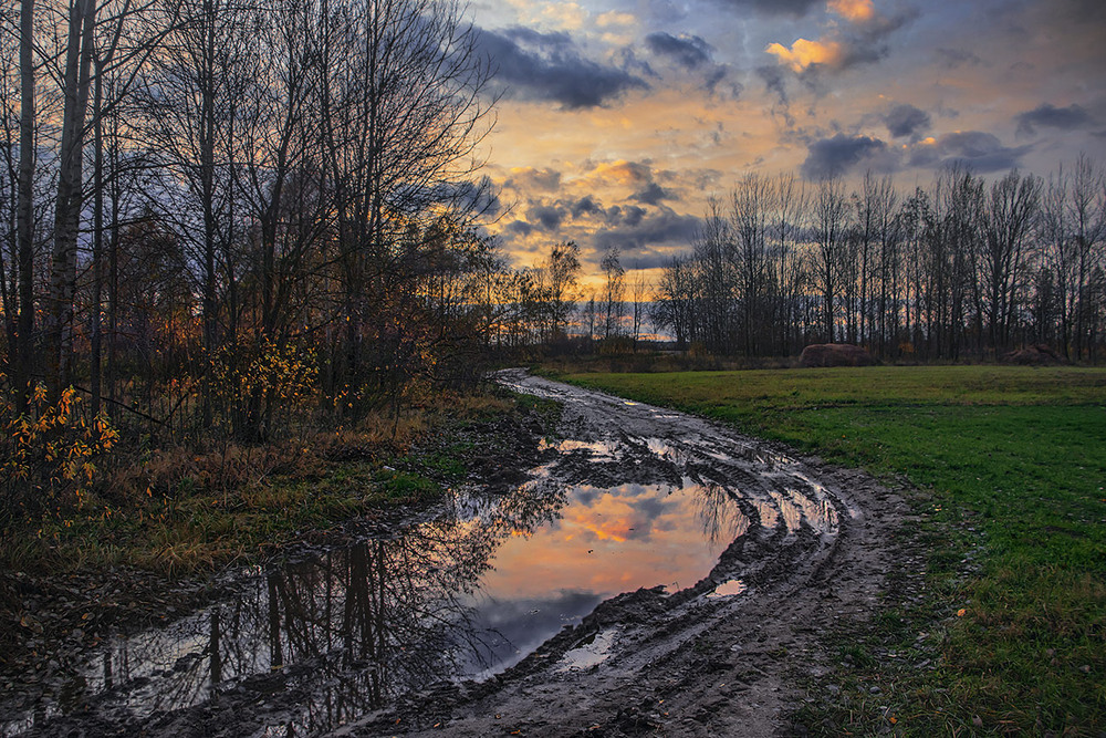 Фотографія Понад калюжАми лине пісня ця (кольорові калюжі - бувають!) коли вітер листя позривав уже. / Юрій Максименко / photographers.ua